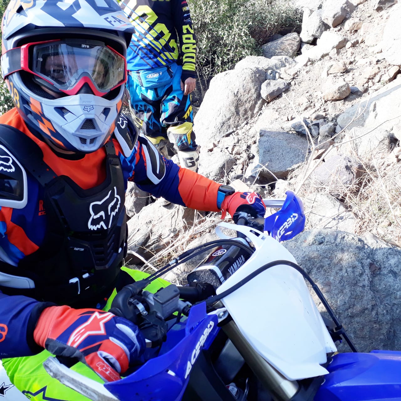 Piloto